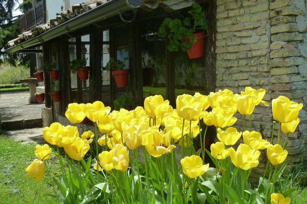 Casa Rural Mertxenea Landetxea Elcano Bagian luar foto